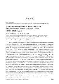 Рост численности большого баклана Phalacrocorax carbo в дельте Дона в 2021-2022 годах