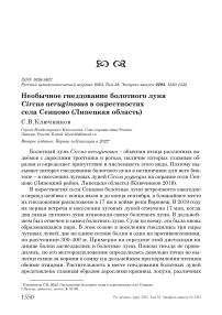 Необычное гнездование болотного луня Circus aeruginosus в окрестностях села Сенцово (Липецкая область)