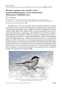 Осенне-зимнее население птиц каменноберёзовых лесов Восточной Камчатки в 2022/23 году
