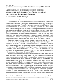 Сроки линьки и миграционный период мухоловки-пеструшки Ficedula hypoleuca юго-востока Западной Сибири