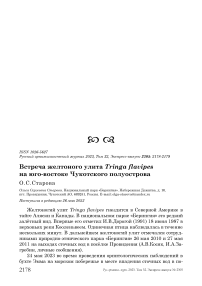 Встреча желтоного улита Tringa flavipes на юго-востоке Чукотского полуострова