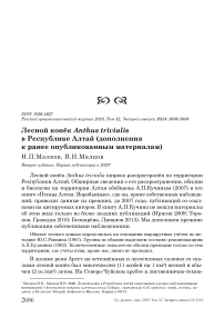 Лесной конёк Anthus trivialis в Республике Алтай (дополнения к ранее опубликованным материалам)