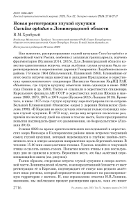 Новая регистрация глухой кукушки Cuculus optatus в Ленинградской области