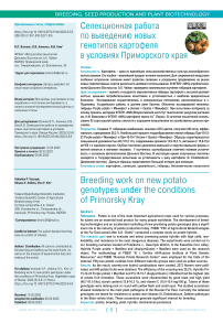 Селекционная работа по выведению новых генотипов картофеля в условиях Приморского края