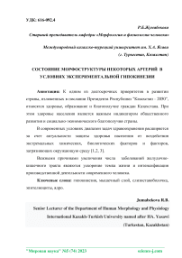 Состояние морфоструктуры некоторых артерий в условиях экспериментальной гипокинезии