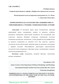 Морфологическая характеристика влияния гипо- и гиперкинезии на строение стенки некоторых артерий