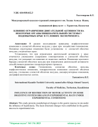 Влияние ограничения двигательной активности на некоторые органы пищеварительной системы у подопытных крыс в условиях эксперимента