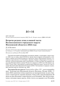 Встречи редких птиц в южной части Волоколамского городского округа Московской области в 2022 году