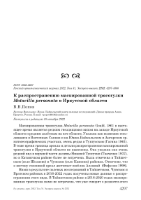 К распространению маскированной трясогузки Motacilla personata в Иркутской области