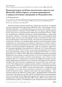 Коммунальные ночёвки камчатских трясогузок Motacilla (alba) lugens, останавливающихся в период весенних миграций во Владивостоке