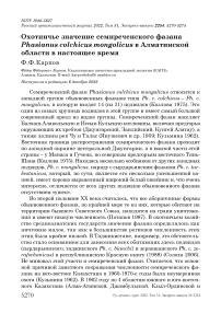 Охотничье значение семиреченского фазана Phasianus colchicus mongolicus в Алматинской области в настоящее время