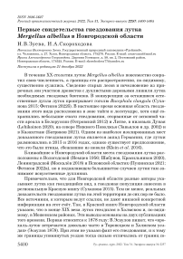Первые свидетельства гнездования лутка Mergellus albellus в Новгородской области