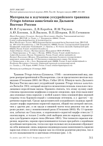 Материалы к изучению уссурийского травника Tringa totanus ussuriensis на Дальнем Востоке России