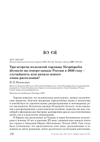 Три встречи кольчатой горлицы Streptopelia decaocto на северо-западе России в 2020 году - случайность или начало нового этапа расселения?