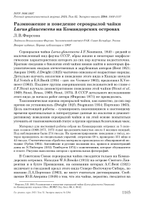 Размножение и поведение серокрылой чайки Larus glaucescens на Командорских островах