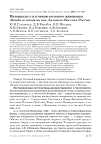 Материалы к изучению полевого жаворонка Alauda arvensis на юге Дальнего Востока России