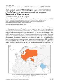 Находка в Санкт-Петербурге малой мухоловки Ficedula parva, окольцованной на острове Змеиный в Чёрном море