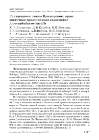 Гнездящиеся птицы Приморского края: восточная дроздовидная камышевка Acrocephalus orientalis