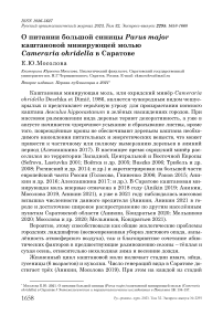 О питании большой синицы Parus major каштановой минирующей молью Cameraria ohridella в Саратове