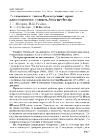 Гнездящиеся птицы Приморского края: длиннохвостая неясыть Strix uralensis
