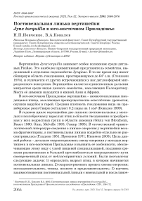 Постювенальная линька вертишейки Jynx torquilla в Юго-Восточном Приладожье