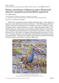 Птицы, внесённые в Красную книгу Псковской области: водяной пастушок Rallus aquaticus