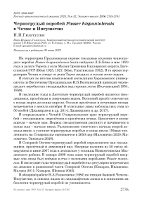 Черногрудый воробей Passer hispaniolensis в Чечне и Ингушетии