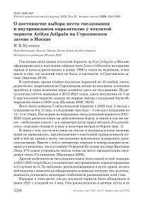 О постоянстве выбора места гнездования и внутривидовом паразитизме у хохлатой чернети Aythya fuligula на Строгинском затоне в Москве
