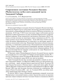 Современное состояние большого баклана Phalacrocorax carbo в юго-западной части Западной Сибири