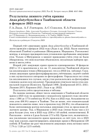 Результаты зимнего учёта кряквы Anas platyrhynchos в Тамбовской области в феврале 2023 года