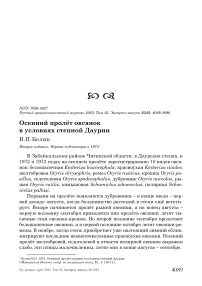 Осенний пролёт овсянок в условиях степной Даурии