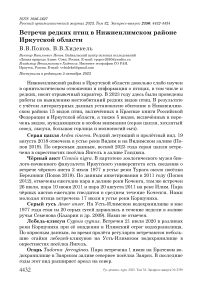 Встречи редких птиц в Нижнеилимском районе Иркутской области