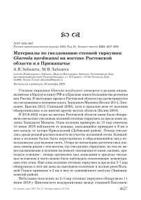 Материалы по гнездованию степной тиркушки Glareola nordmanni на востоке Ростовской области и в Приманычье