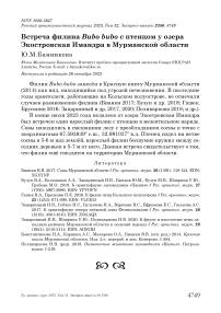 Встреча филина Bubo bubo с птенцом у озера Экостровская Имандра в Мурманской области