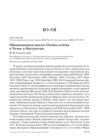 Обыкновенная иволга Oriolus oriolus в Чечне и Ингушетии