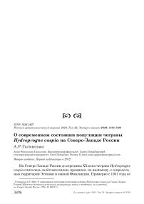 О современном состоянии популяции чегравы Hydroprogne caspia на северо-западе России