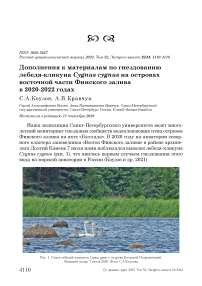 Дополнения к материалам по гнездованию лебедя-кликуна Cygnus cygnus на островах восточной части Финского залива в 2020-2022 годах