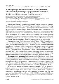 К распространению поганок Podicipedidae в Верхнем Приангарье (Иркутская область)