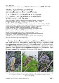 Кваква Nycticorax nycticorax на юге Дальнего Востока России