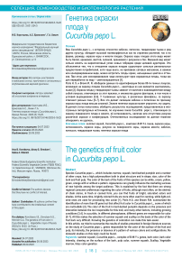 Генетика окраски плода у Cucurbita pepo L.