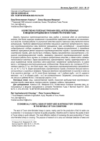 Хозяйственно полезные признаки овец, использованных в вводном скрещивании в условиях Республики Тыва