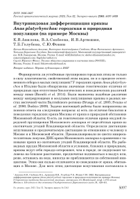 Внутривидовая дифференциация кряквы Anas platyrhynchos: городская и природная популяции (на примере Москвы)