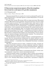 О биологии короткоклювого Brachyramphus brevirostris и пёстрого B. perdix пыжиков
