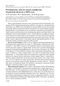 Расширение списка видов авифауны Амурской области в 2023 году