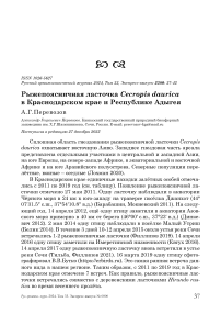 Рыжепоясничная ласточка Cecropis daurica в Краснодарском крае и Республике Адыгея