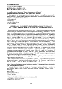 Исследование взаимодействия штаммов B. subtilis и Tr. harzianumи патогенных микроорганизмов - возбудителей заболеваний кабачков