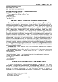 Адаптивность нового сорта озимой пшеницы Прииртышская 3