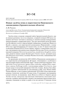 Новые залёты птиц в окрестности Пинежского заповедника (Архангельская область)