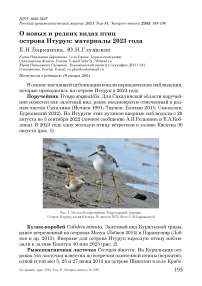 О новых и редких видах птиц острова Итуруп: материалы 2023 года