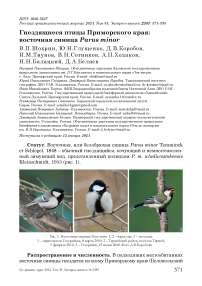 Гнездящиеся птицы Приморского края: восточная синица Parus minor